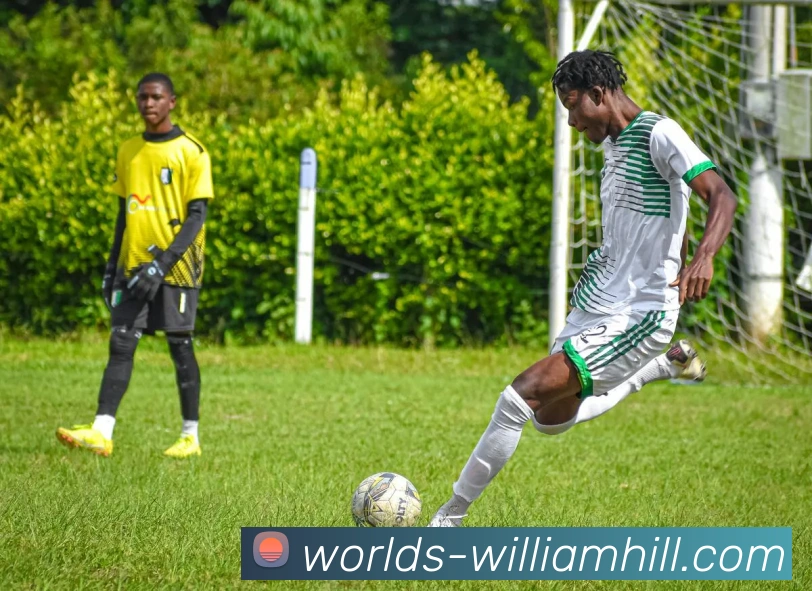 多媒体互动体验